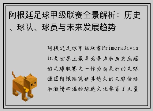 阿根廷足球甲级联赛全景解析：历史、球队、球员与未来发展趋势